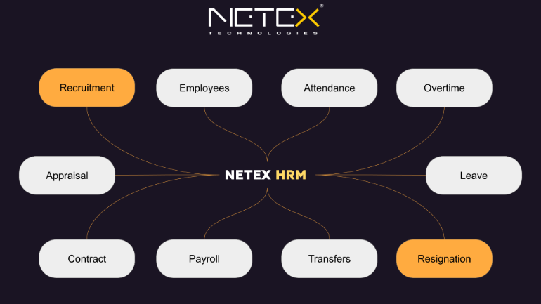 NETEX HRM